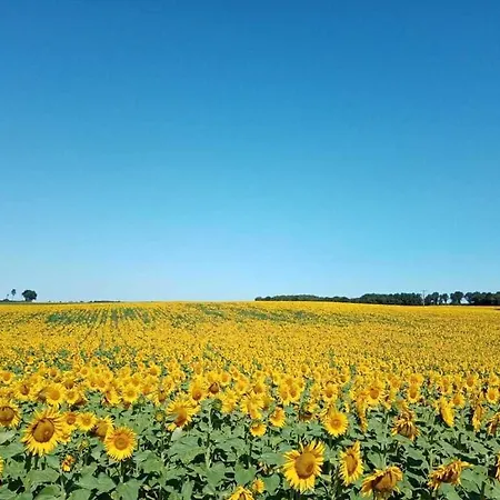 Blacksmiths In - 3 Beds Σπίτι διακοπών *